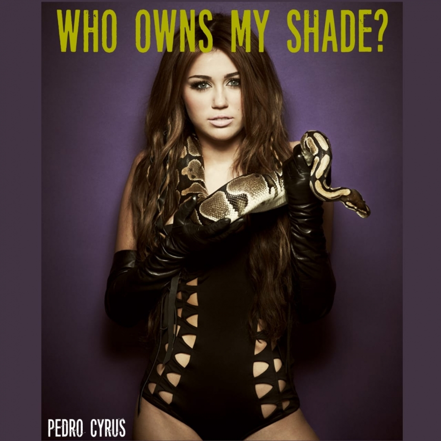 Pedro Cyrus — Who Owns My Shade cover artwork