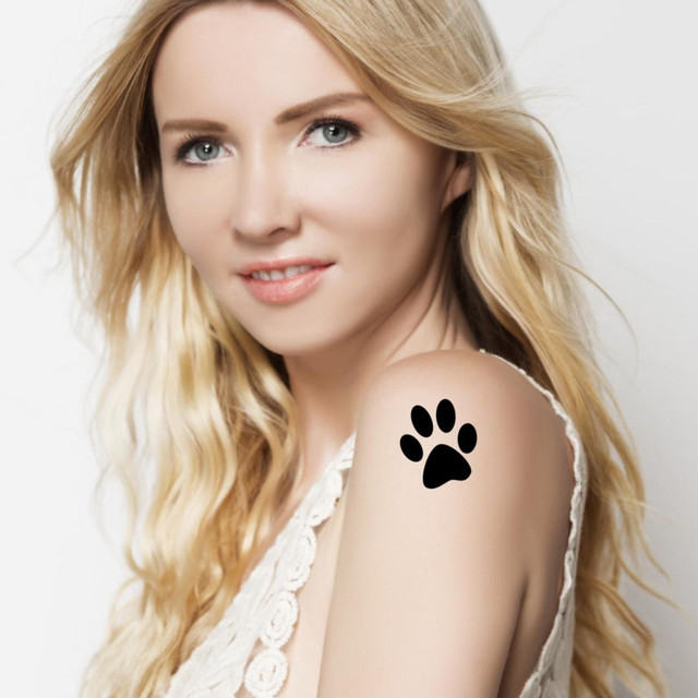 Kaia Tamm — Wo sind die Katzen? cover artwork