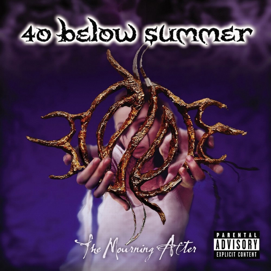 40 Below Summer — Rain cover artwork