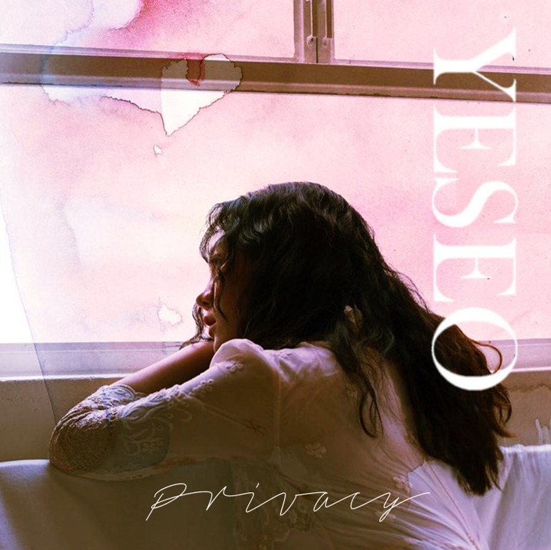 YESEO Privacy cover artwork