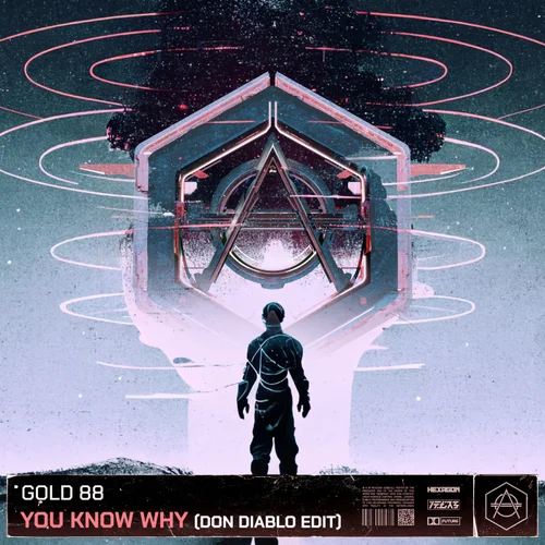 Gold 88 You Know Why - Don Diablo Edit cover artwork
