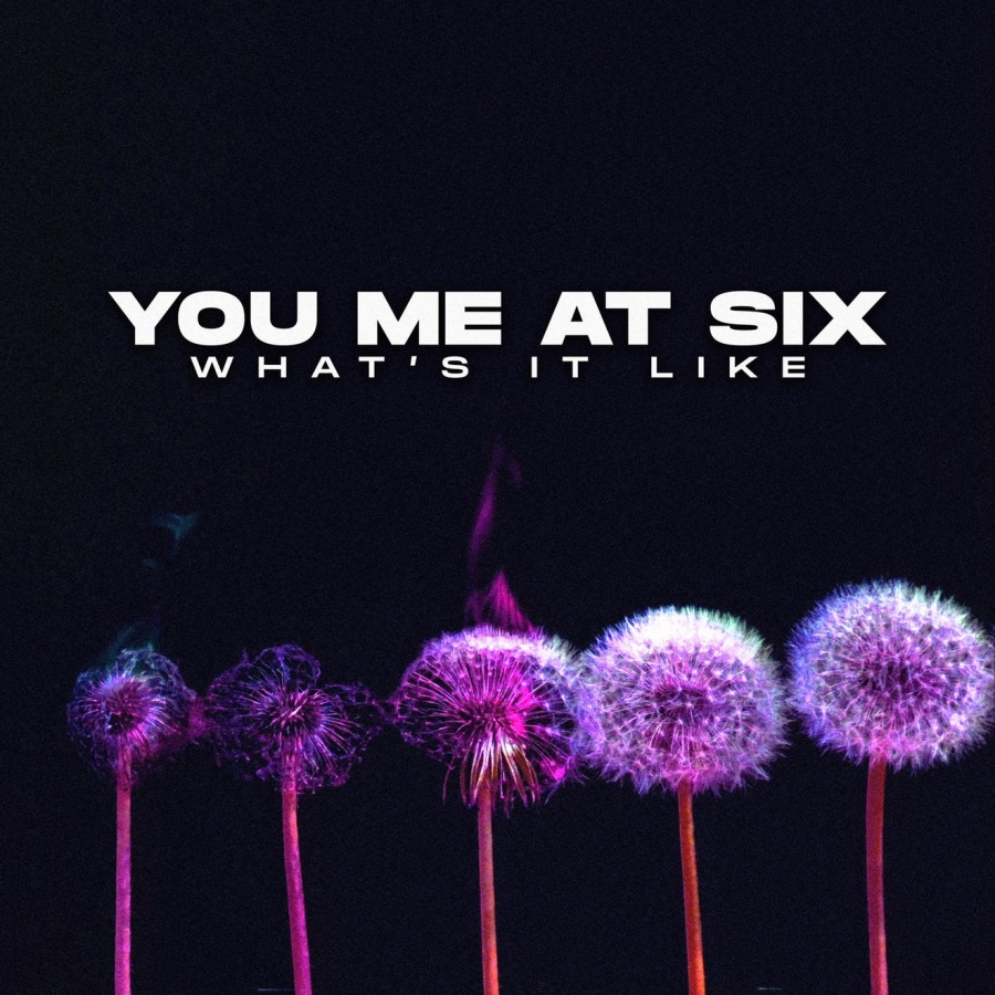 You Me At Six — What&#039;s It Like cover artwork