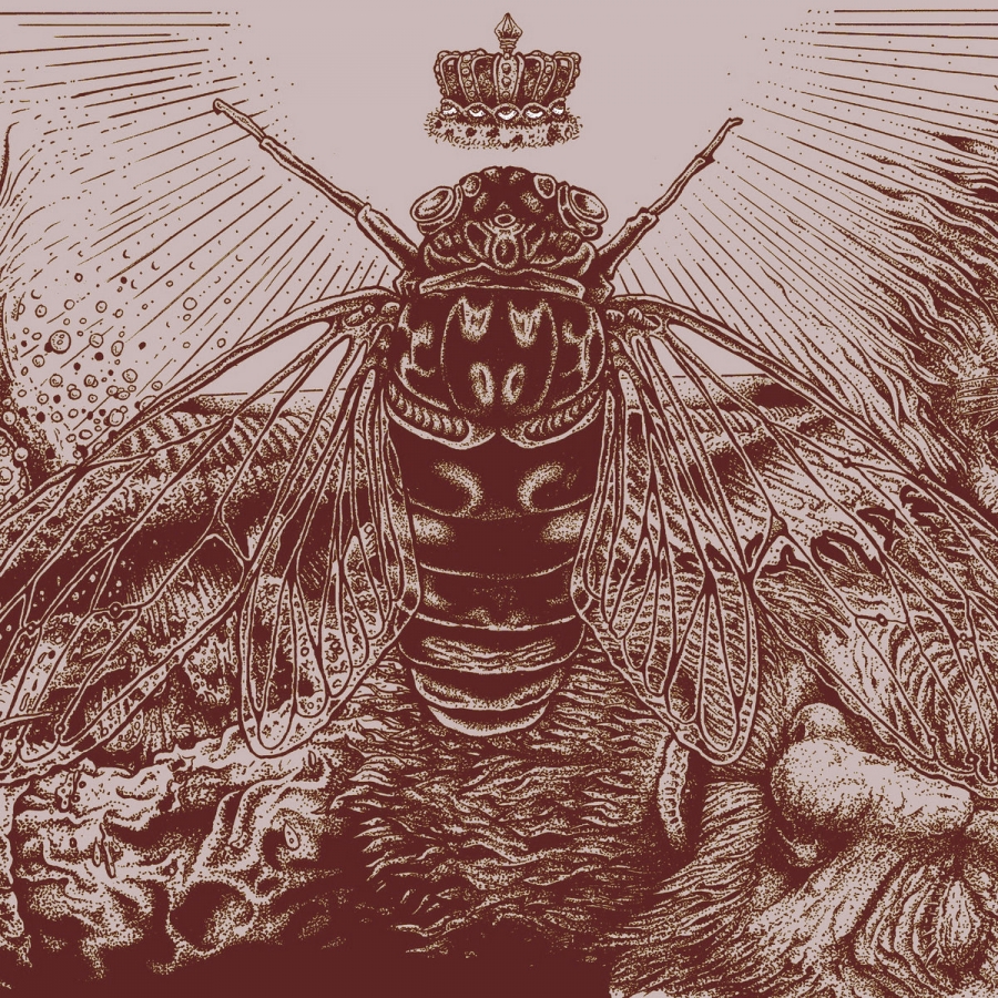 The Heavy Eyes — Home cover artwork
