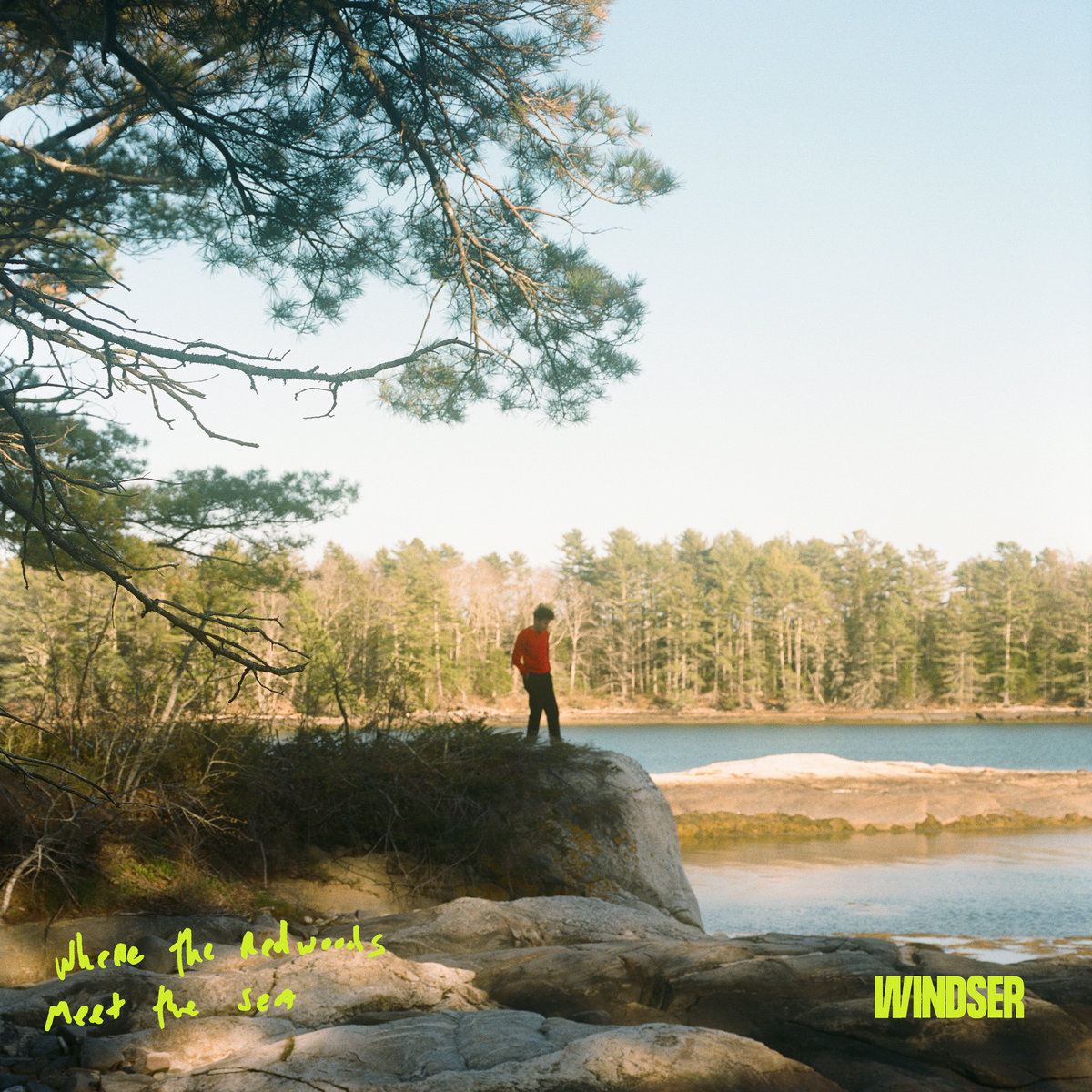 Windser Where the Redwoods Meet the Sea (EP) cover artwork