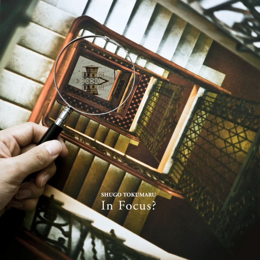 Shugo Tokumaru In Focus? cover artwork