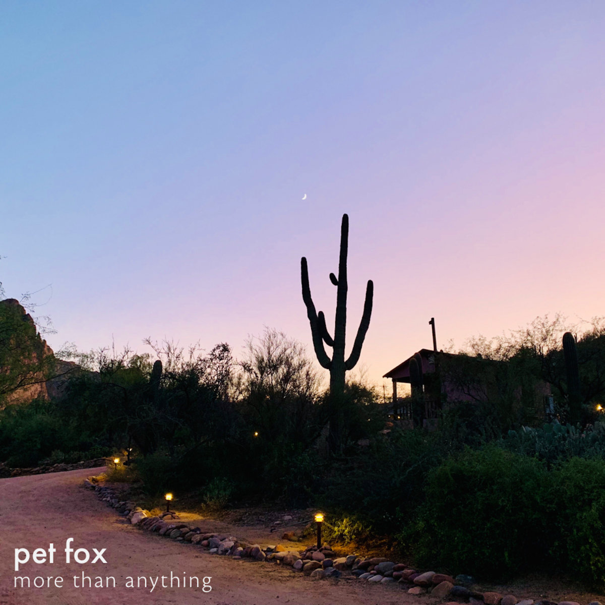 Pet Fox — Imagine Why cover artwork