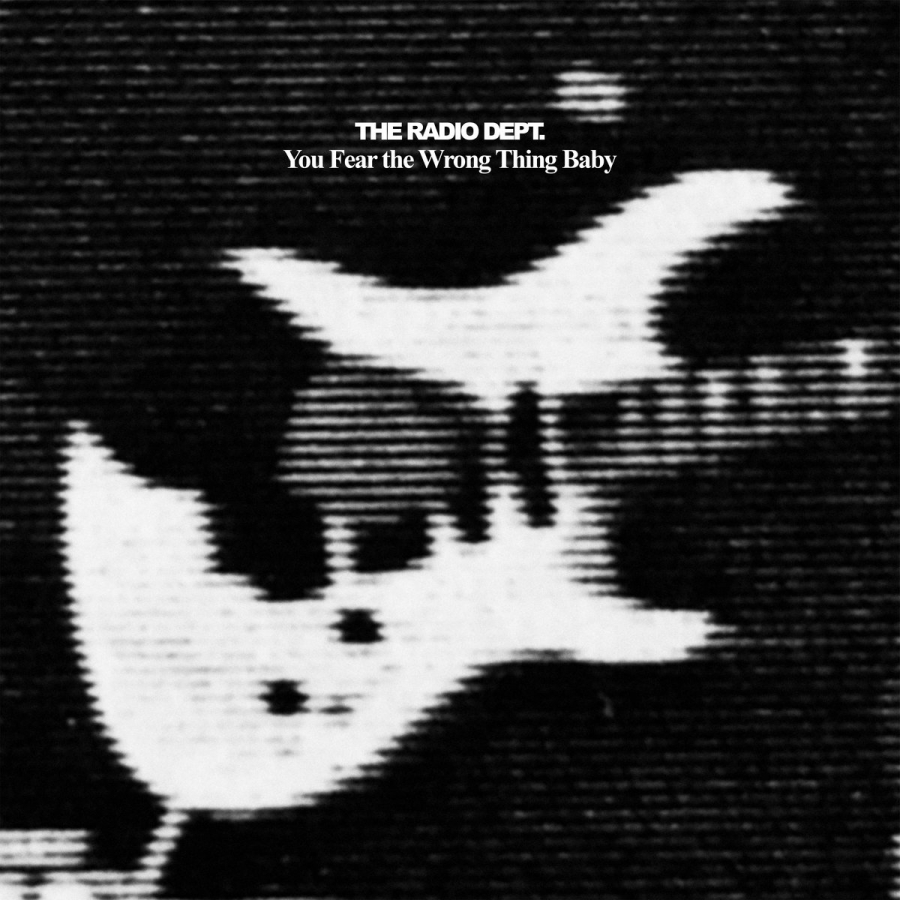 The Radio Dept. — You Fear the Wrong Thing Baby cover artwork