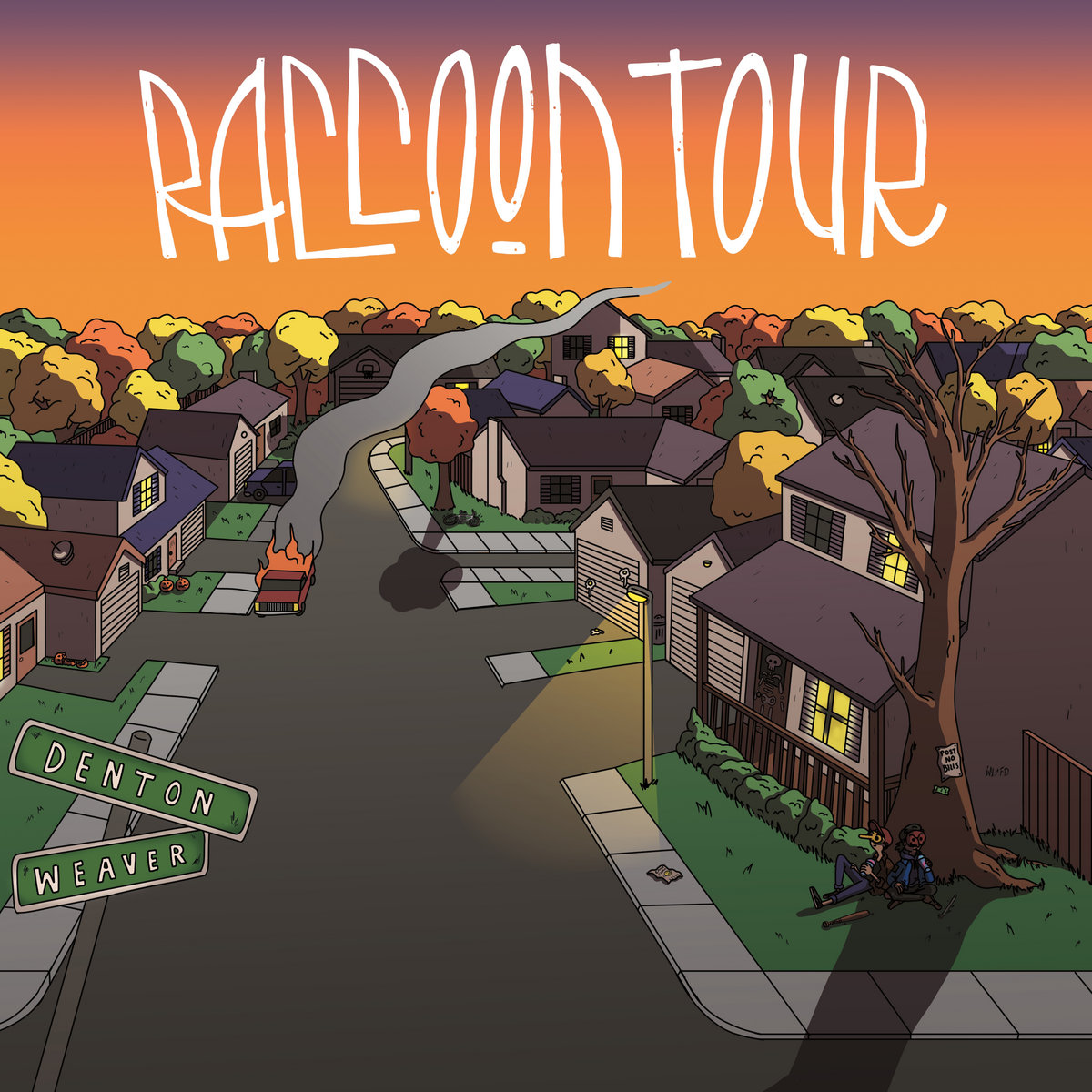 Raccoon Tour Mt. Hekla cover artwork