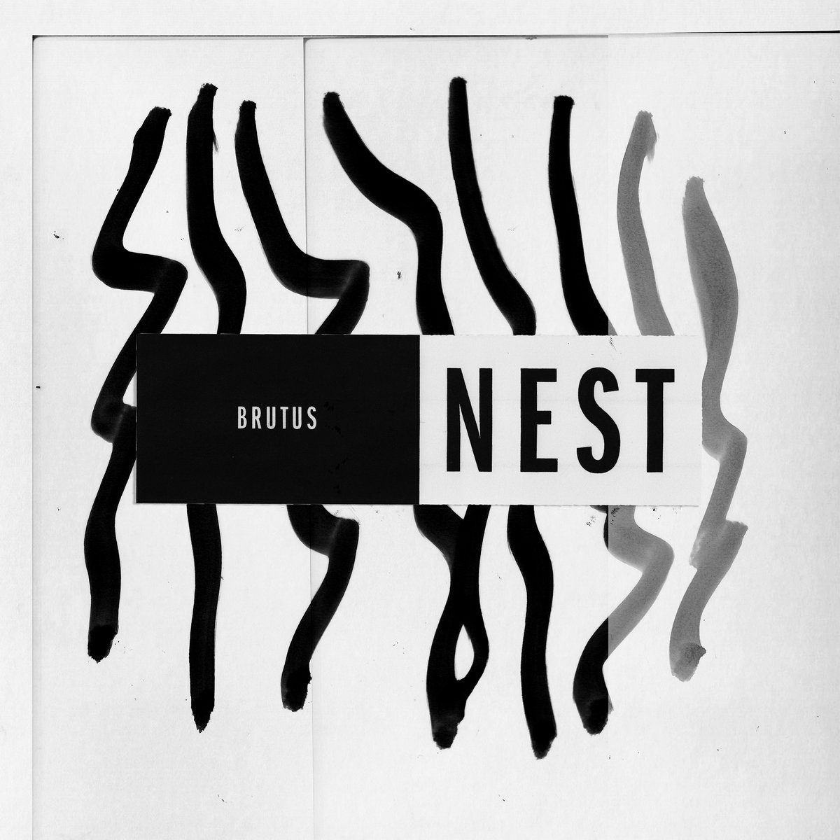 Brutus Nest cover artwork