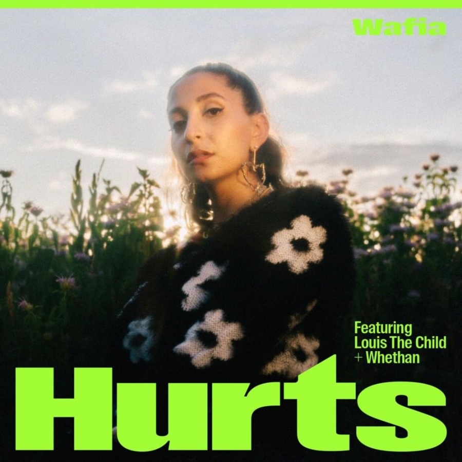 Wafia featuring Louis The Child & Whethan — Hurts cover artwork