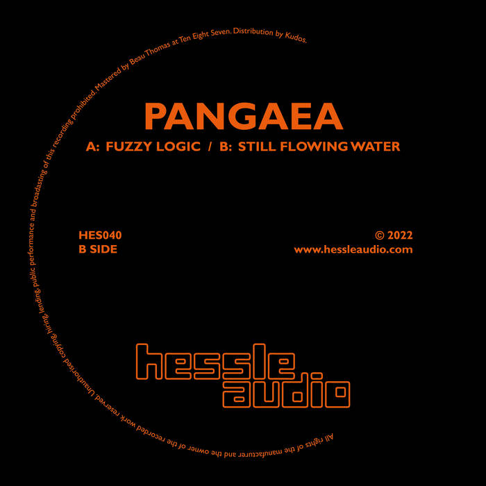 Pangaea — Fuzzy Logic cover artwork