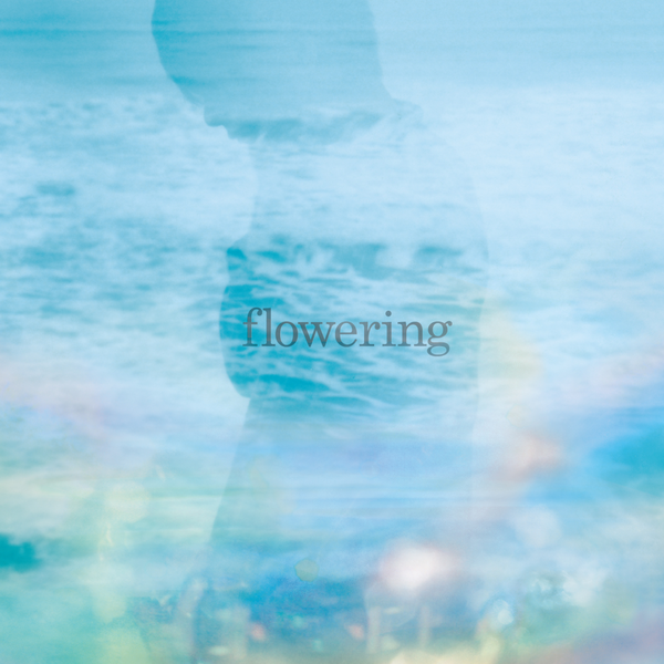 TK from Ling tosite sigure flowering cover artwork