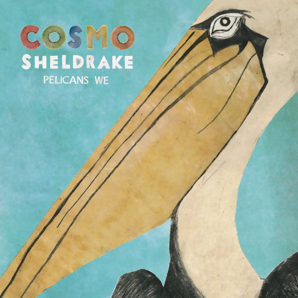 Cosmo Sheldrake Pelicans We - EP cover artwork