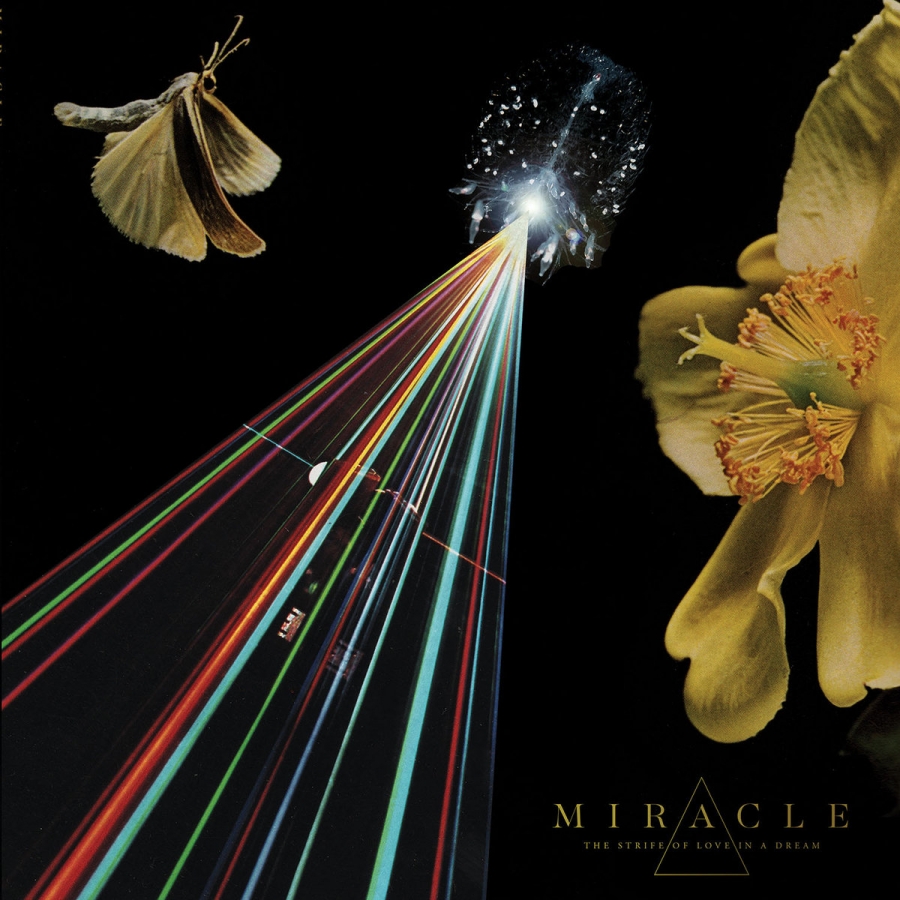 Miracle — Light Mind cover artwork