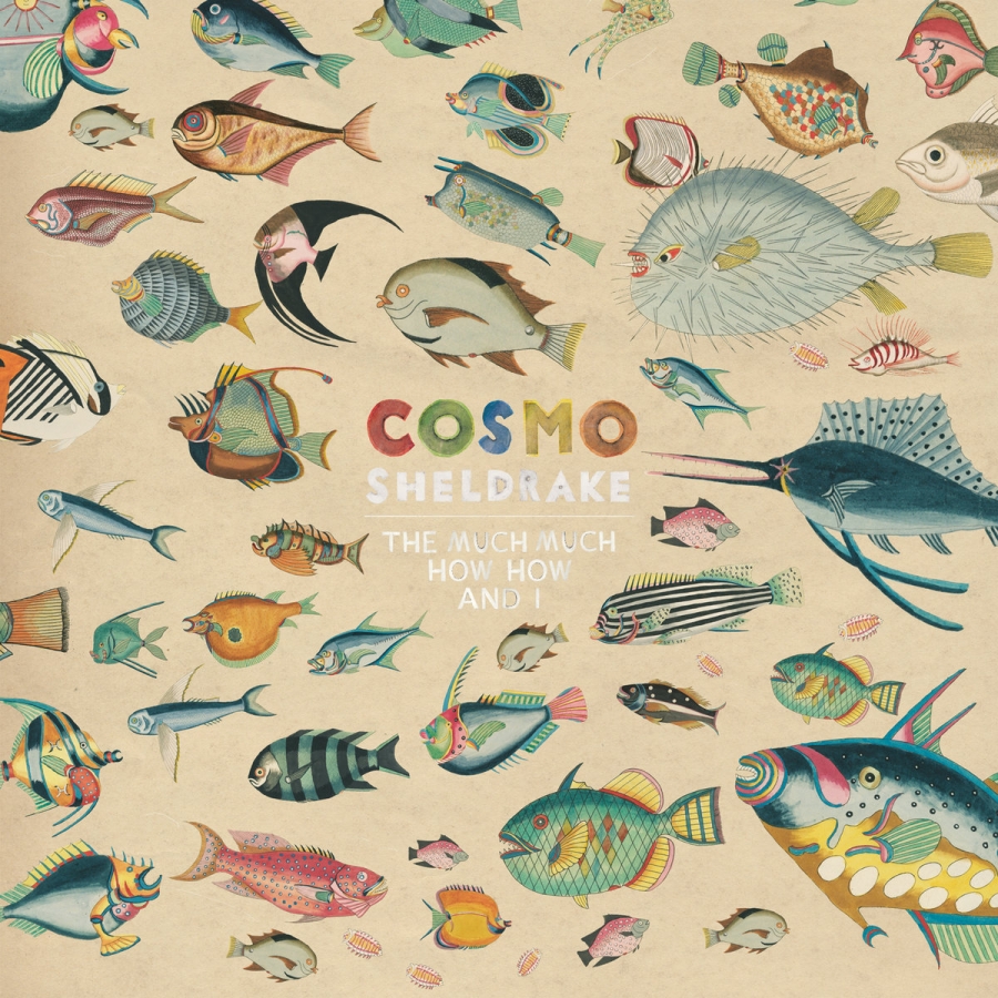 Cosmo Sheldrake — Solar Waltz cover artwork