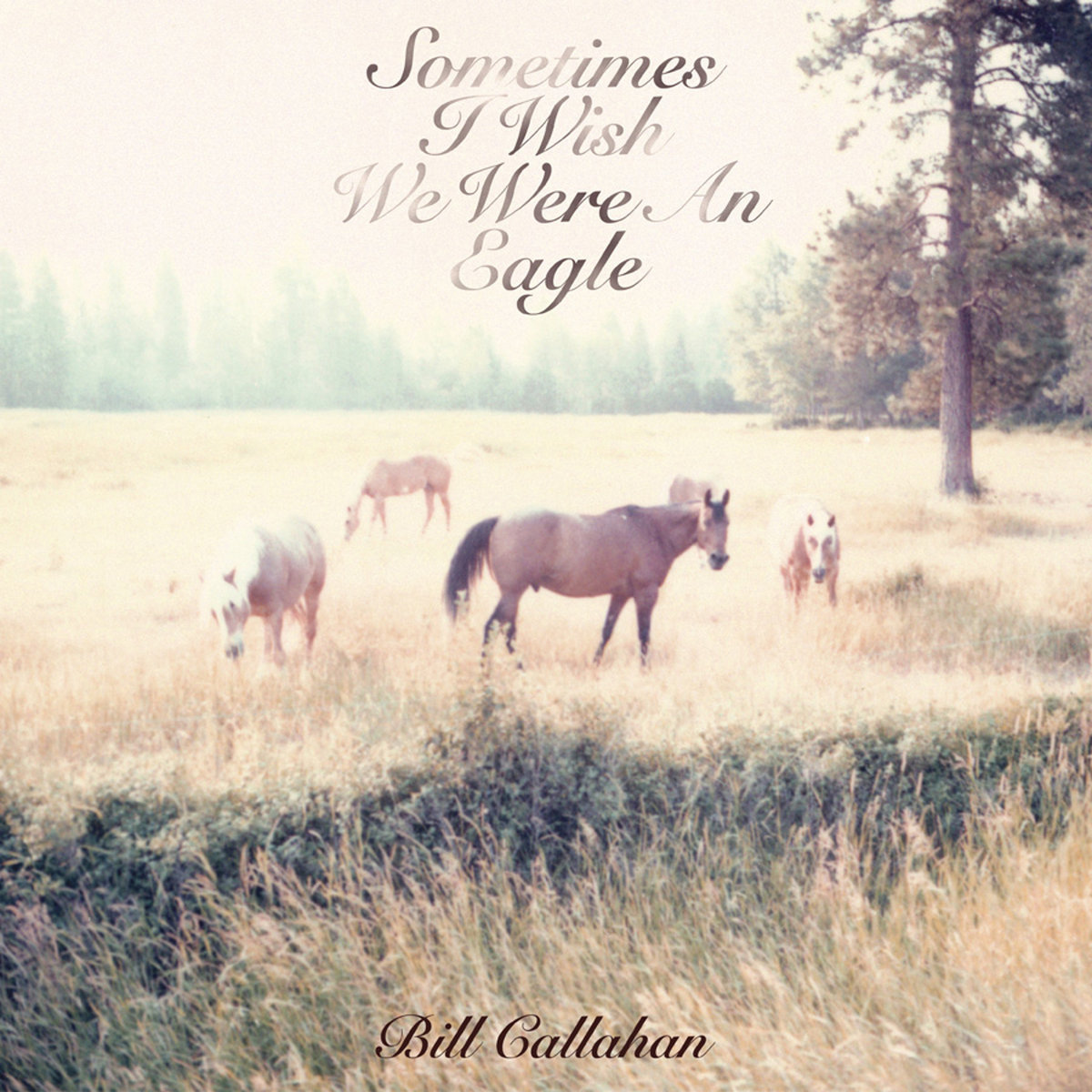 Bill Callahan — Jim Cain cover artwork