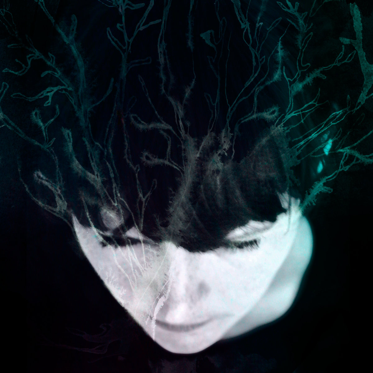 Hanne Kolstø While We Still Have Light cover artwork