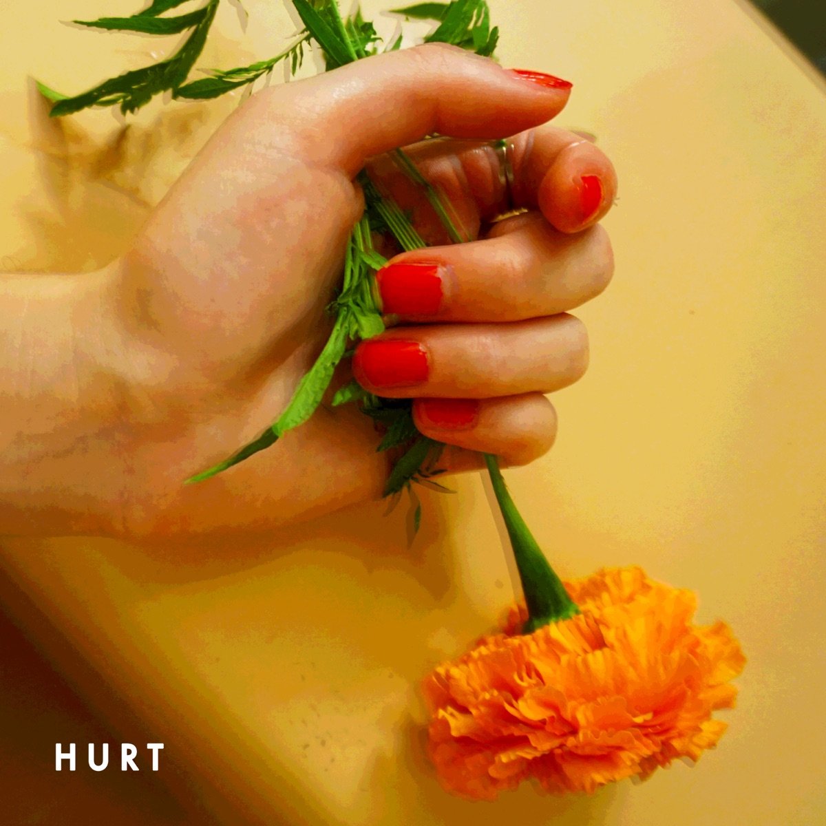 Sasha Alex Sloan — Hurt cover artwork