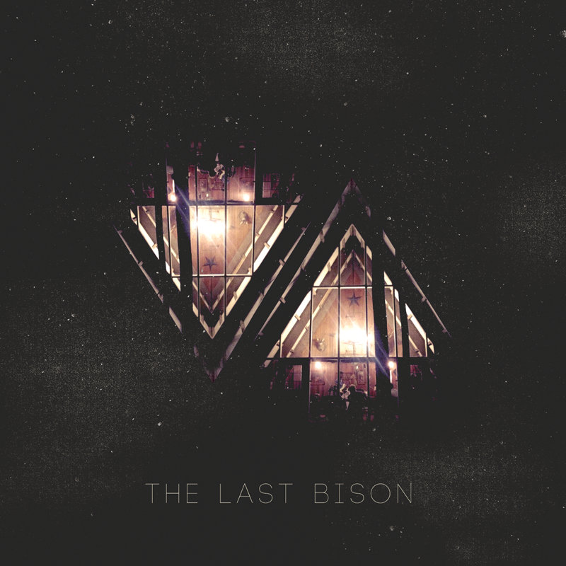 The Last Bison VA. cover artwork