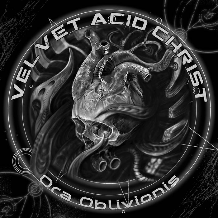 Velvet Acid Christ — The Bullet Wins cover artwork