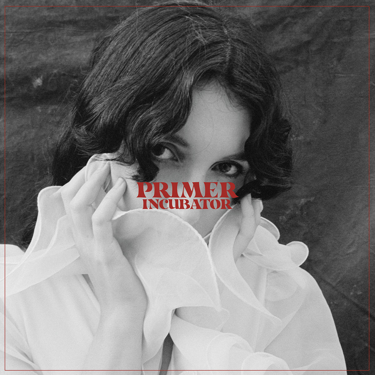 Primer — Just A Clown cover artwork