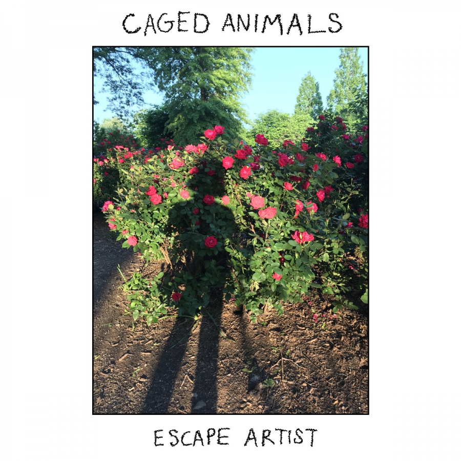 Caged Animals — Get It Through My Heart cover artwork