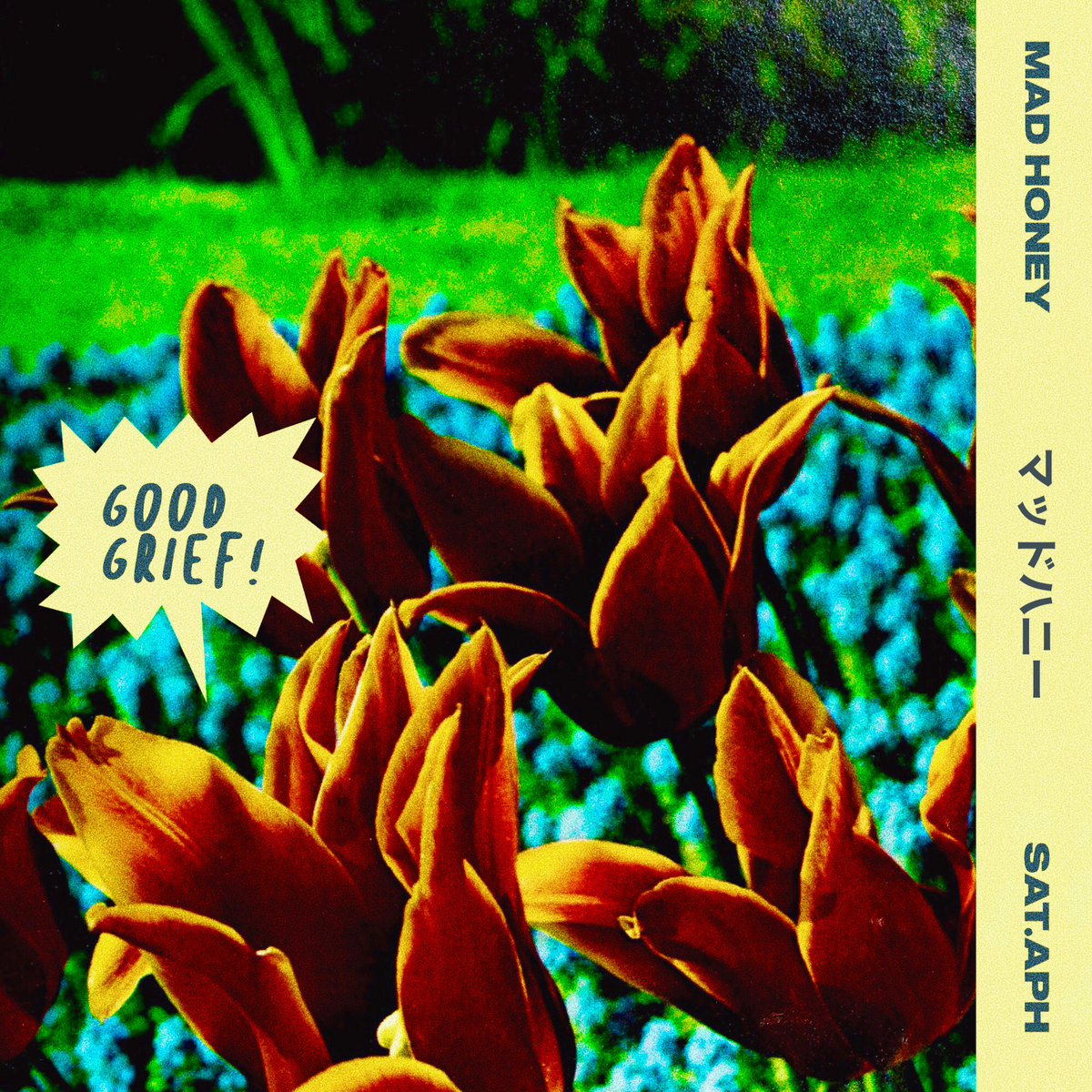 Mad Honey — Good Grief cover artwork