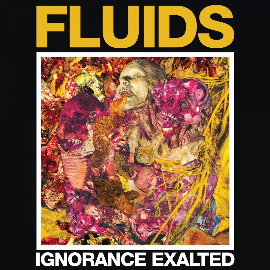 Fluids Ignorance Exalted cover artwork