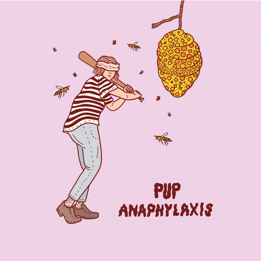 PUP Anaphylaxis cover artwork