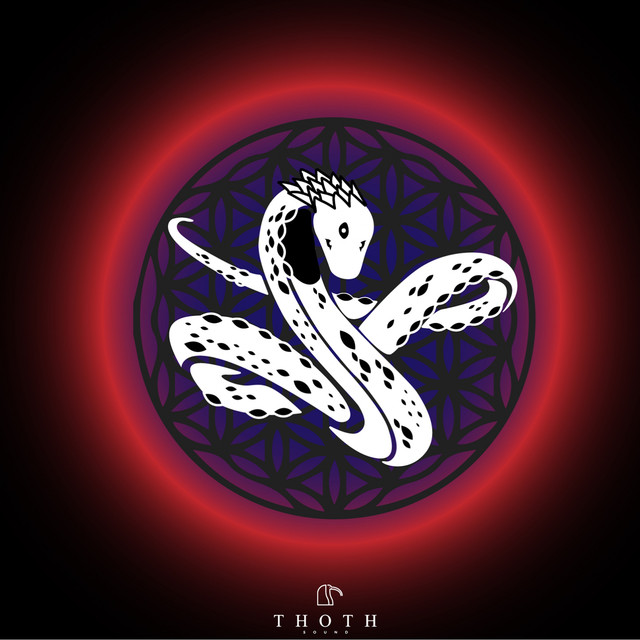 Neli — Viata Reala cover artwork