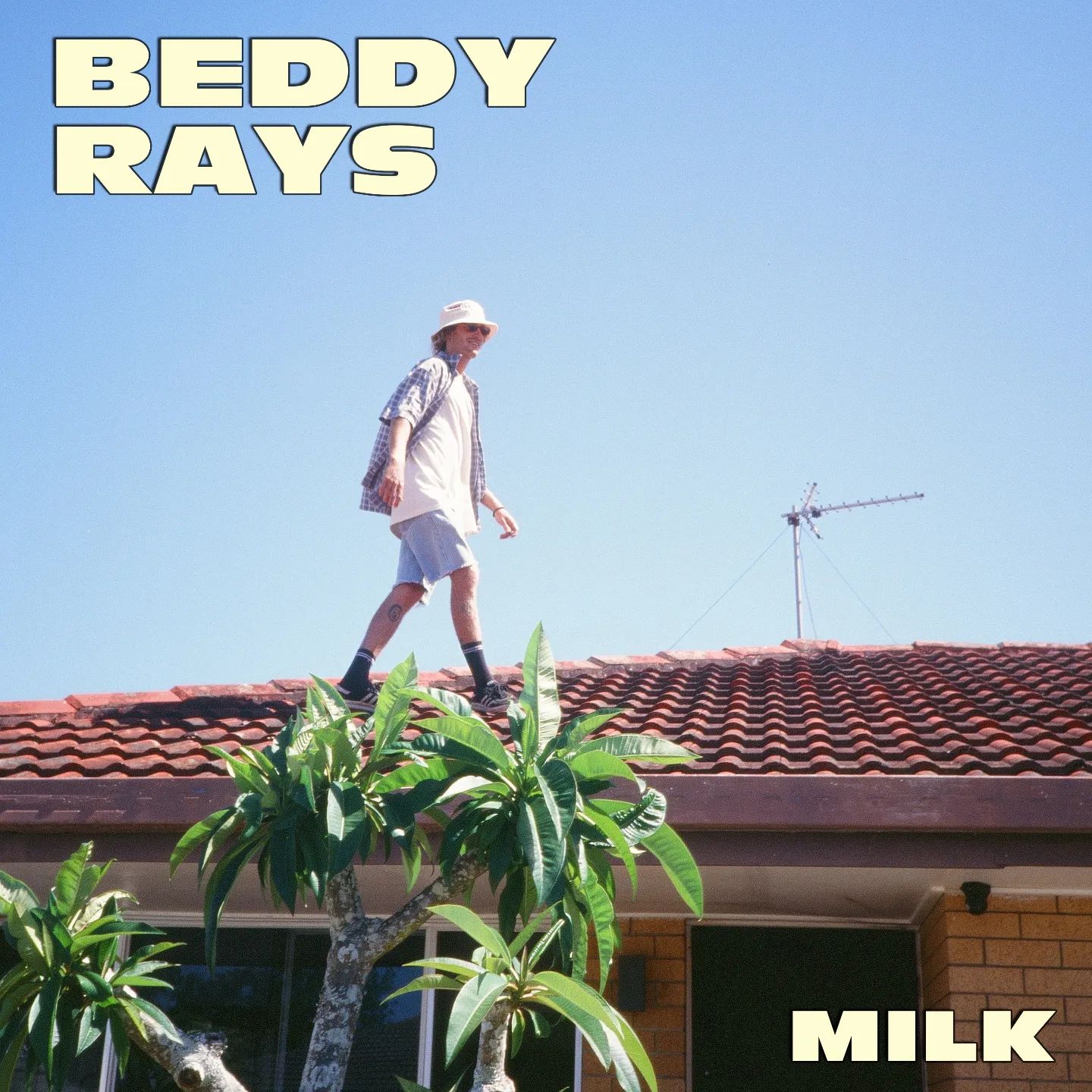 Beddy Rays Milk cover artwork