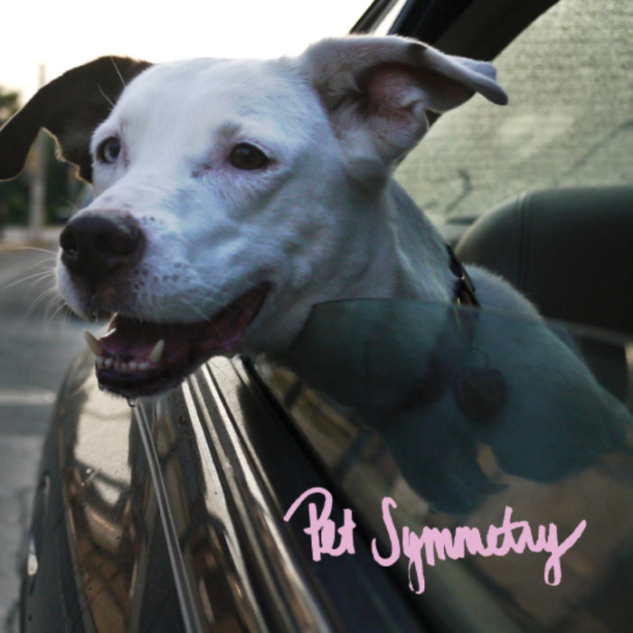Pet Symmetry — A Detailed and Poetic Physical Threat to the Person Who Intentionally Vandalized My 1994 Dodge Intrepid Behind Kate&#039;s Apartment cover artwork