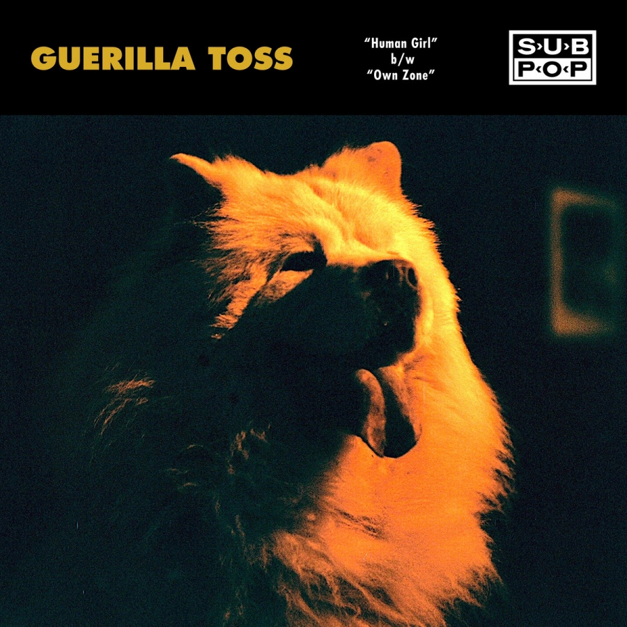 Guerilla Toss — Own Zone cover artwork