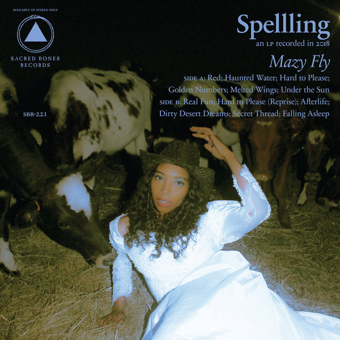 Spellling Mazy Fly cover artwork