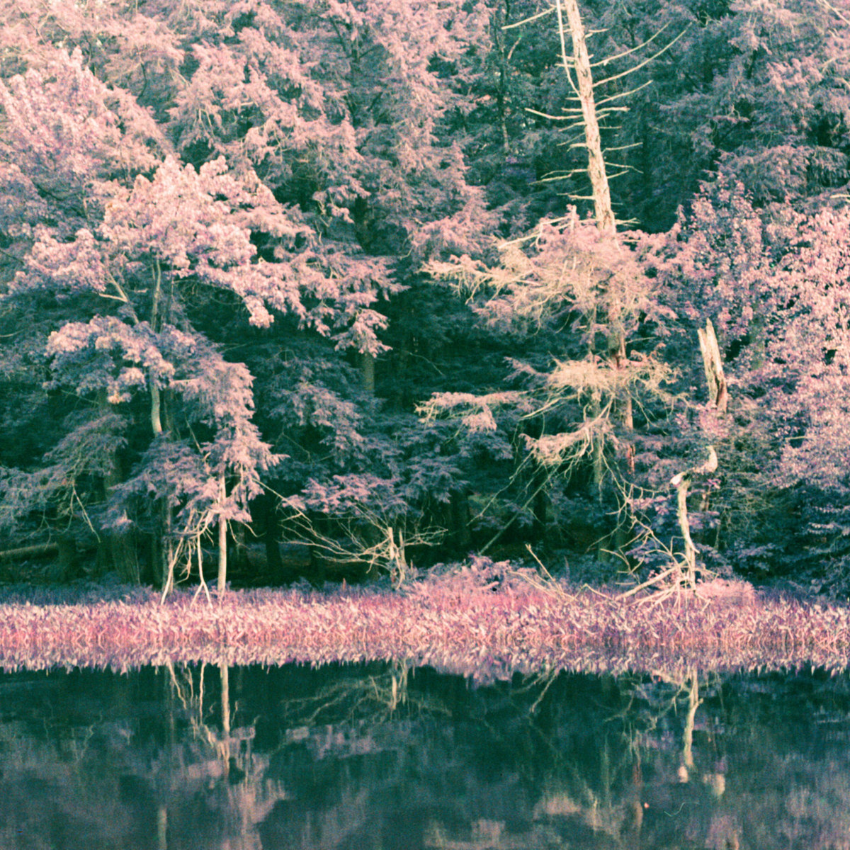 Ultramarine — L&#039;heure d&#039;or cover artwork