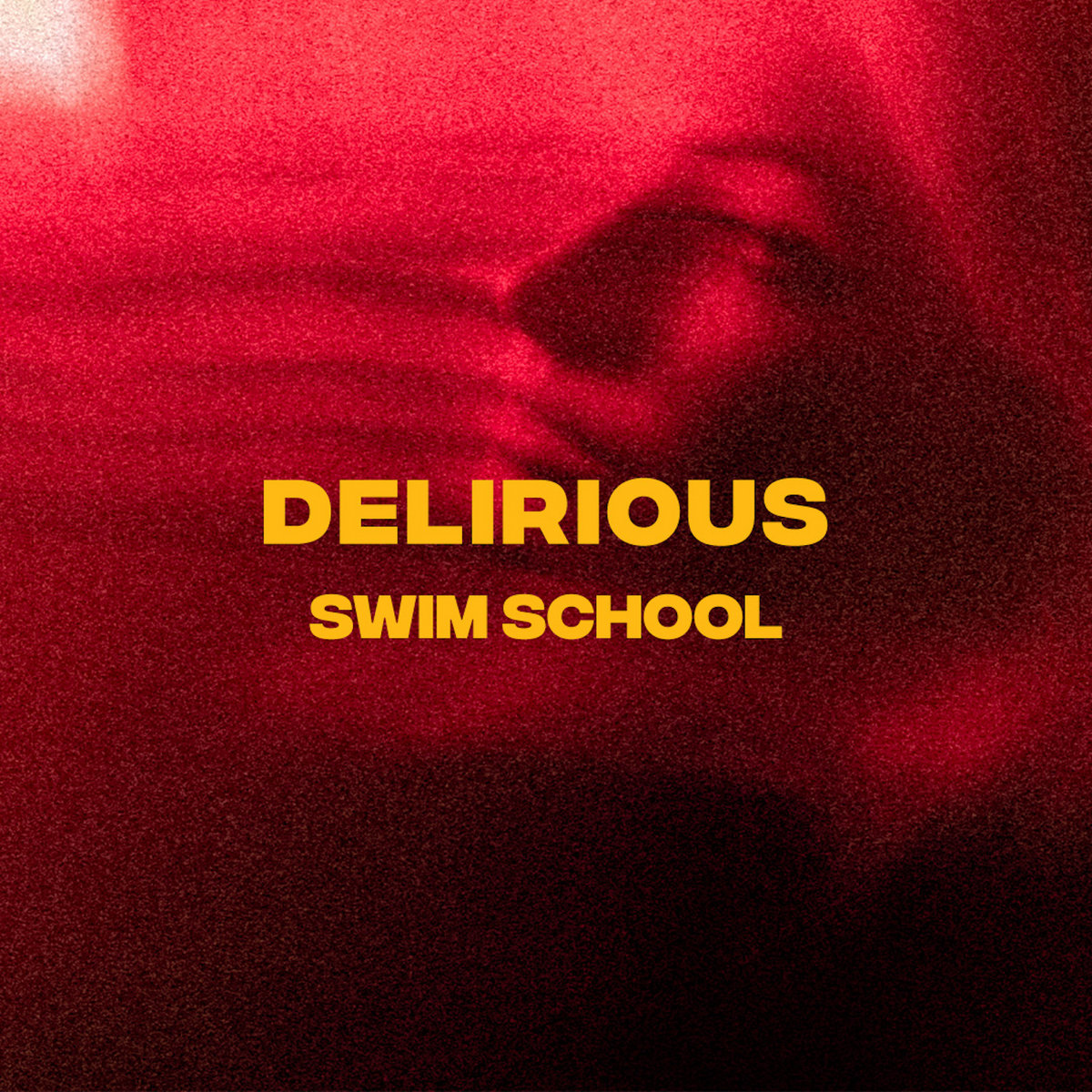 swim school — delirious cover artwork