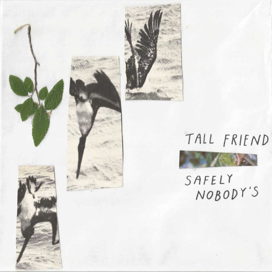 Tall Friend Safely Nobody's cover artwork