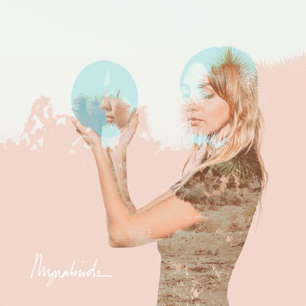 The Mynabirds — Velveteen cover artwork