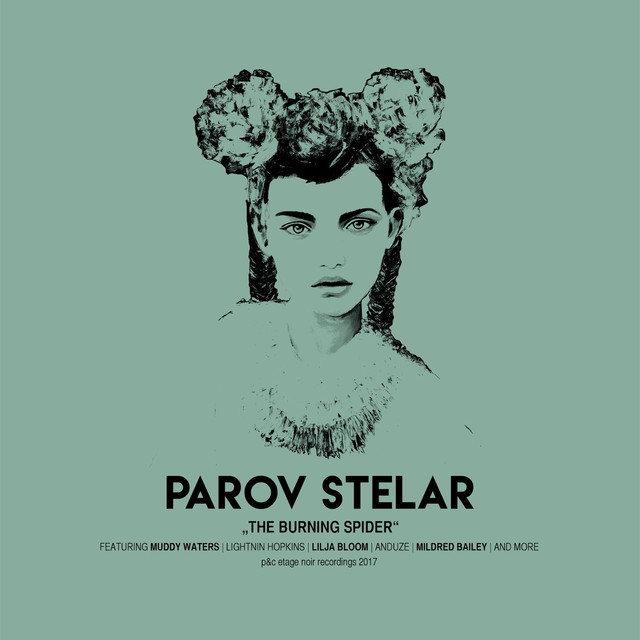 Parov Stelar featuring Muddy Waters — Soul Fever Blues cover artwork