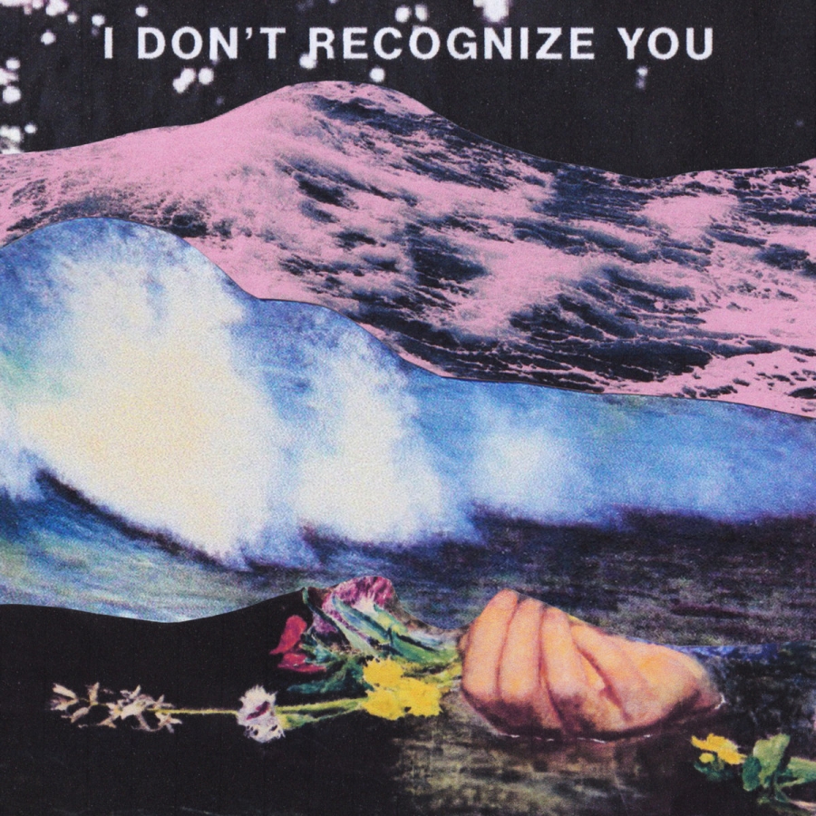 NewDad — I Don&#039;t Recognise You cover artwork