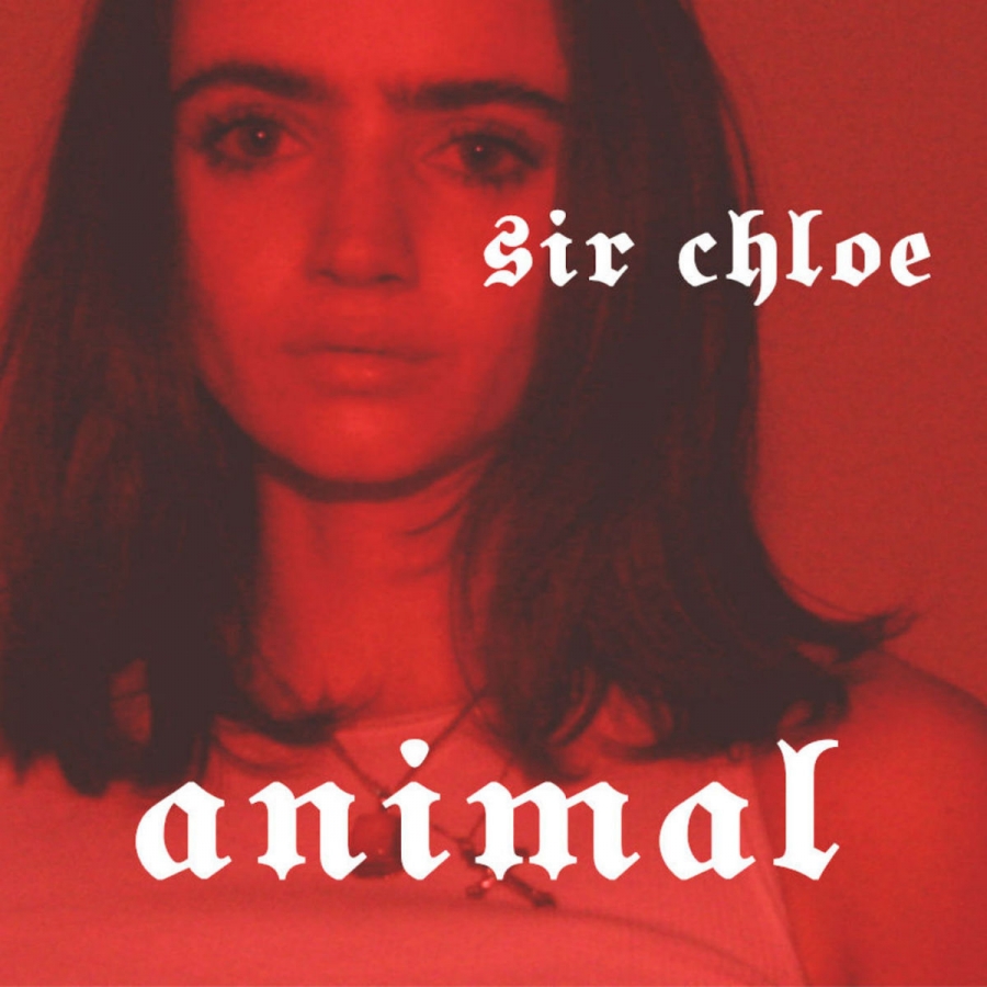Sir Chloe Animal cover artwork