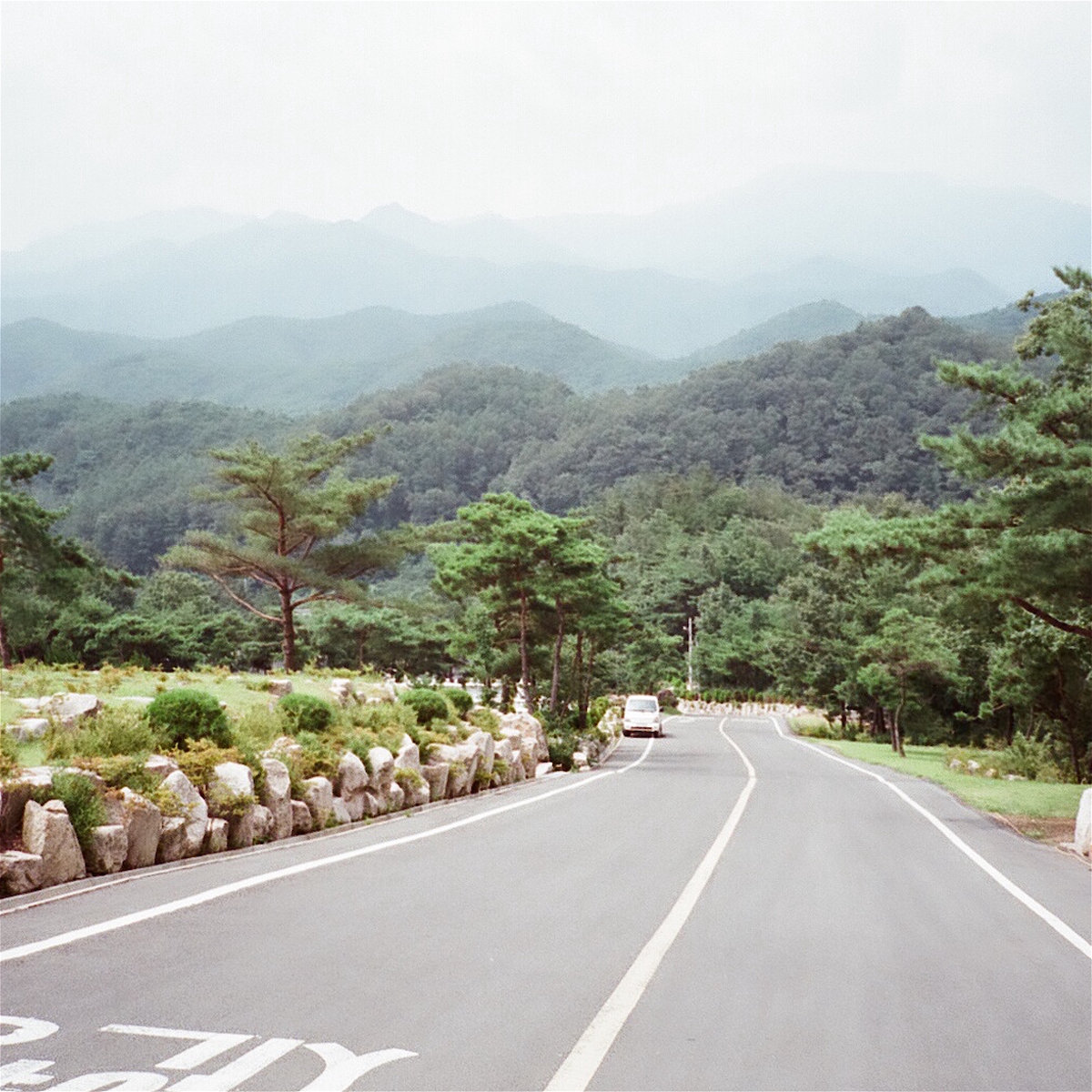 juno roome — just like before cover artwork