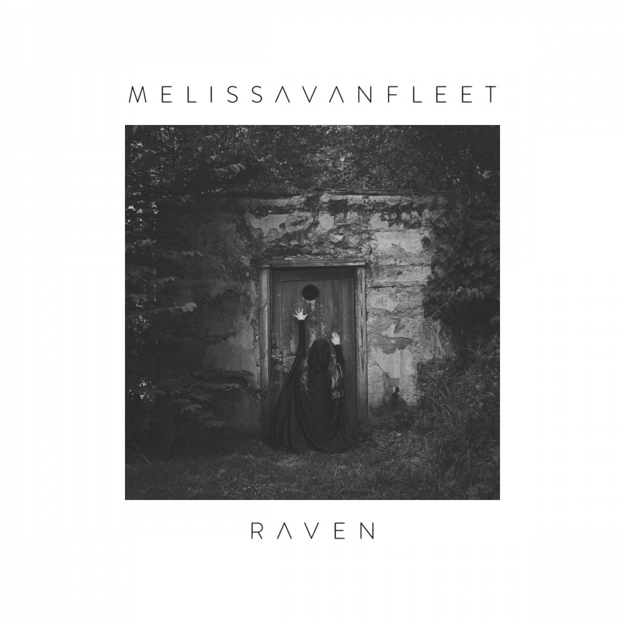 Melissa VanFleet Raven cover artwork