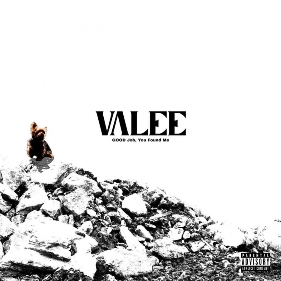 Valee — Shell cover artwork