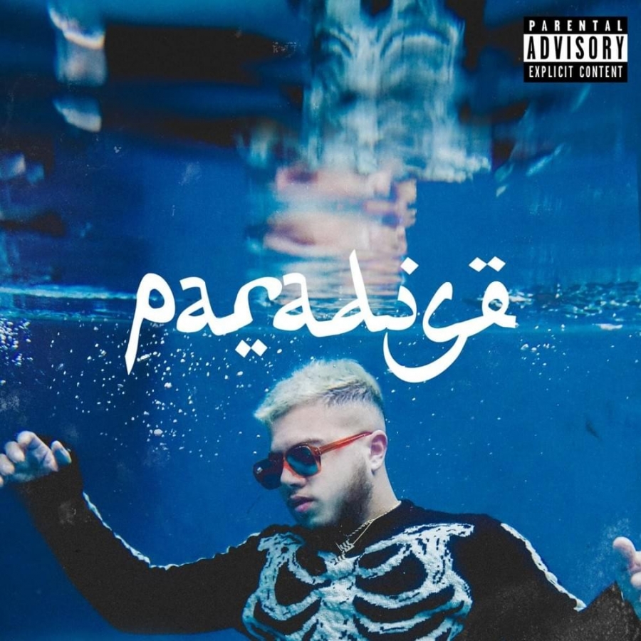 Hamza Paradise cover artwork