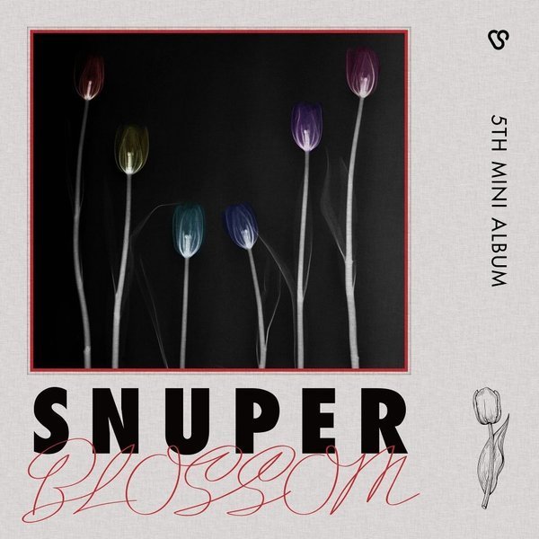 Snuper Blossom cover artwork