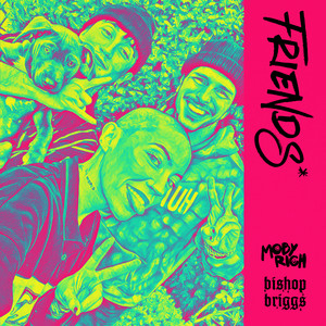 Moby Rich & Bishop Briggs friends* cover artwork