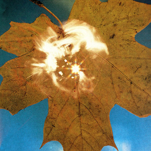 Союз Force of the Wind cover artwork