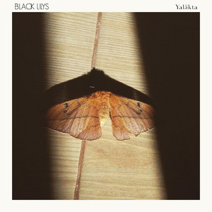 Black Lilys — Yaläkta cover artwork