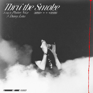 Phuture Noize featuring Daimy Lotus — Thru The Smoke cover artwork